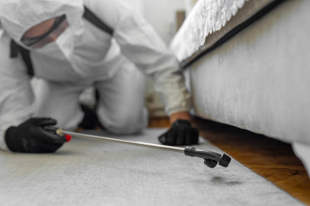 Professional Bed Bug Control technician working in Clay County County, IL